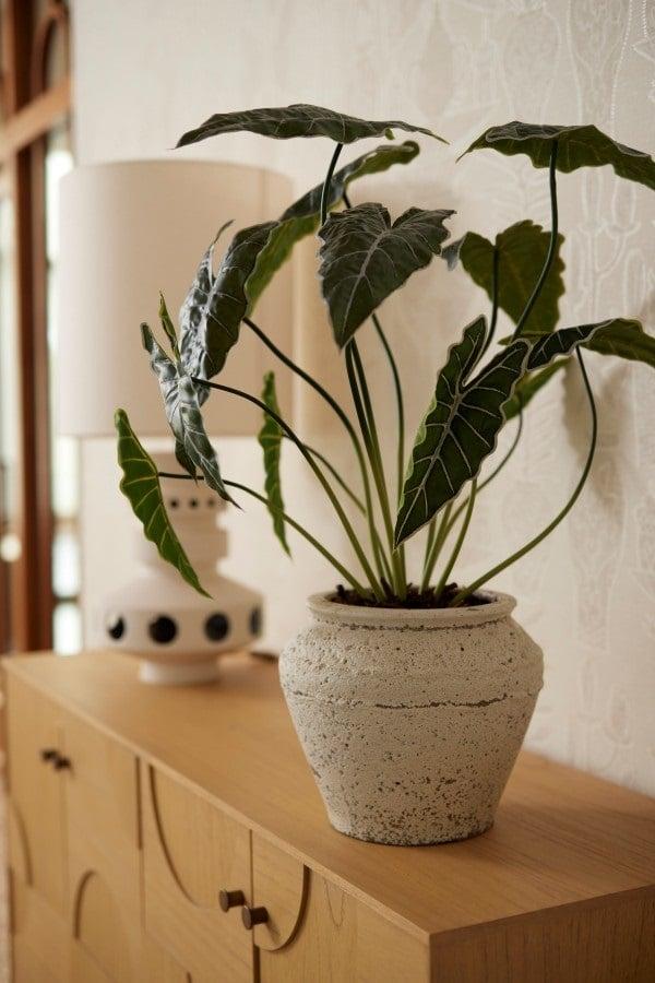 Alocasia artificiel h80cm
