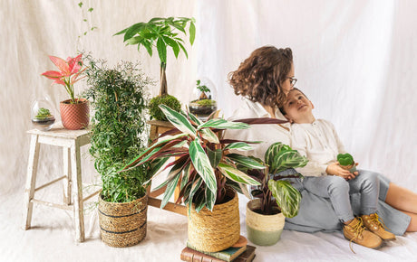 Pourquoi offrir une plante d'intérieur pour la fête des mères ? - La Green Touch
