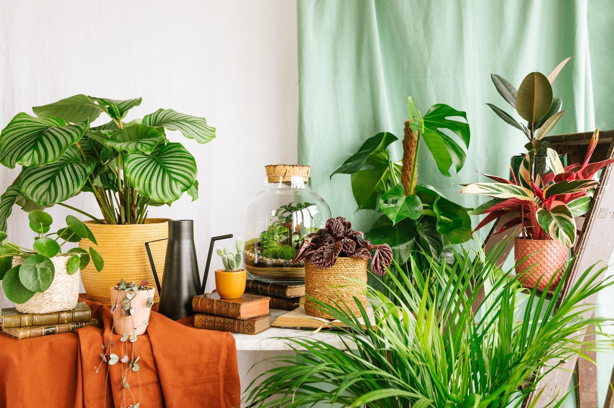 Les best sellers La Green Touch - La Green Touch