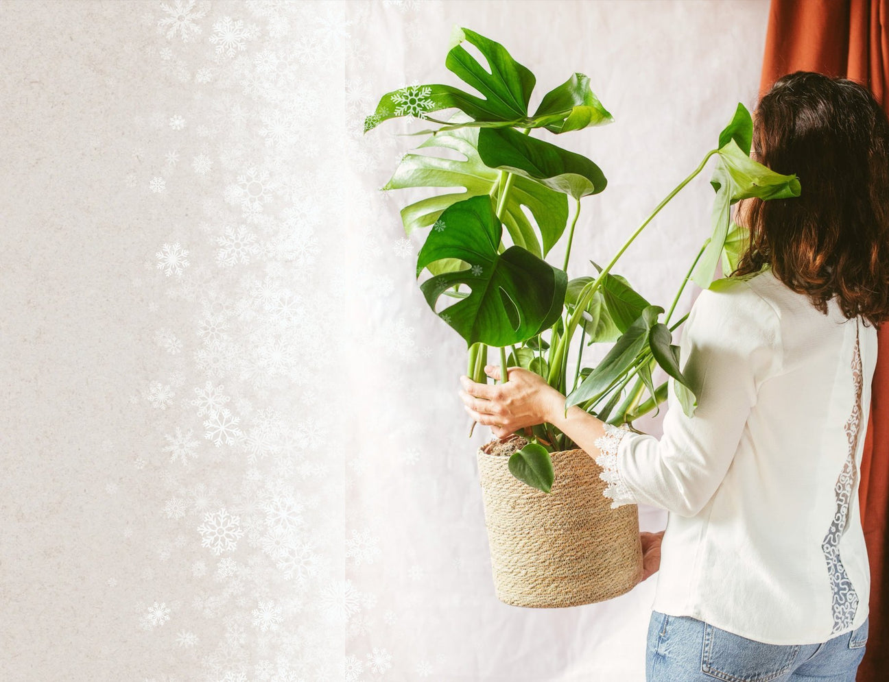 SOLDES D'HIVER - Plantes, kits & terrariums - La Green Touch