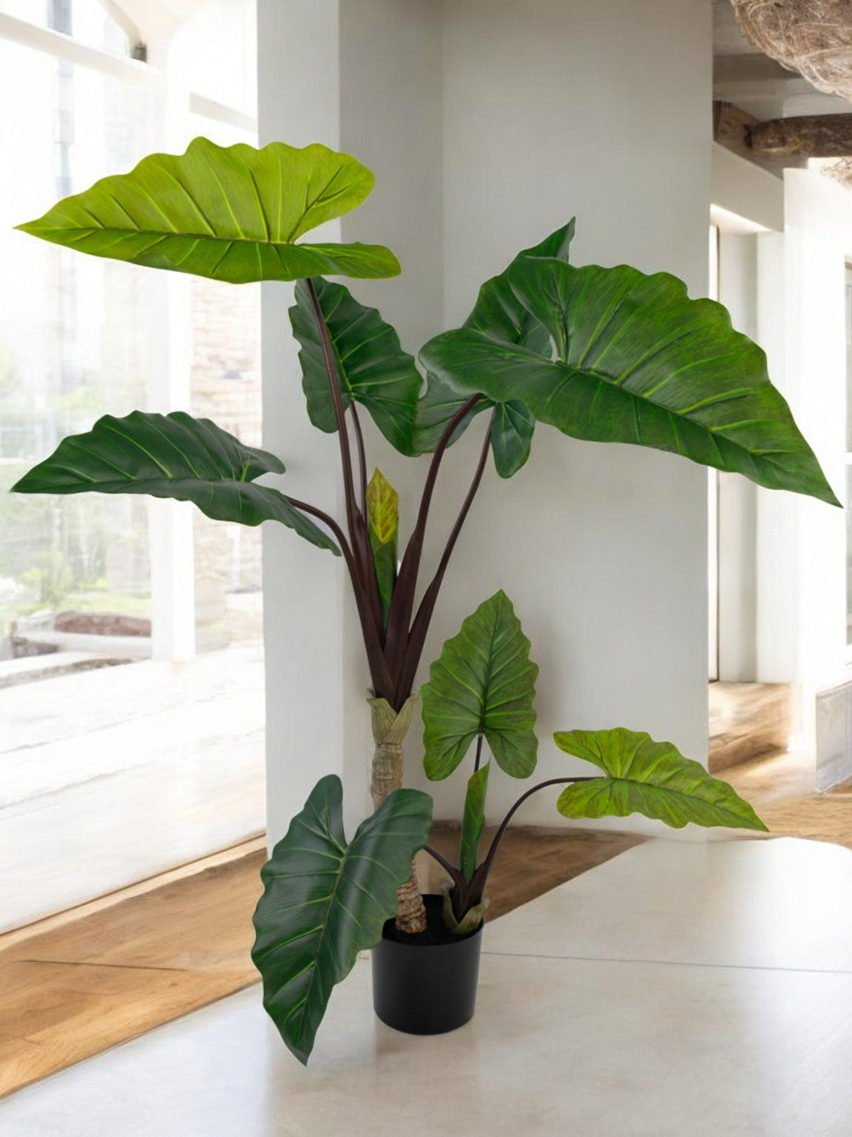 Livraison plante Alocasia - grande plante artificielle