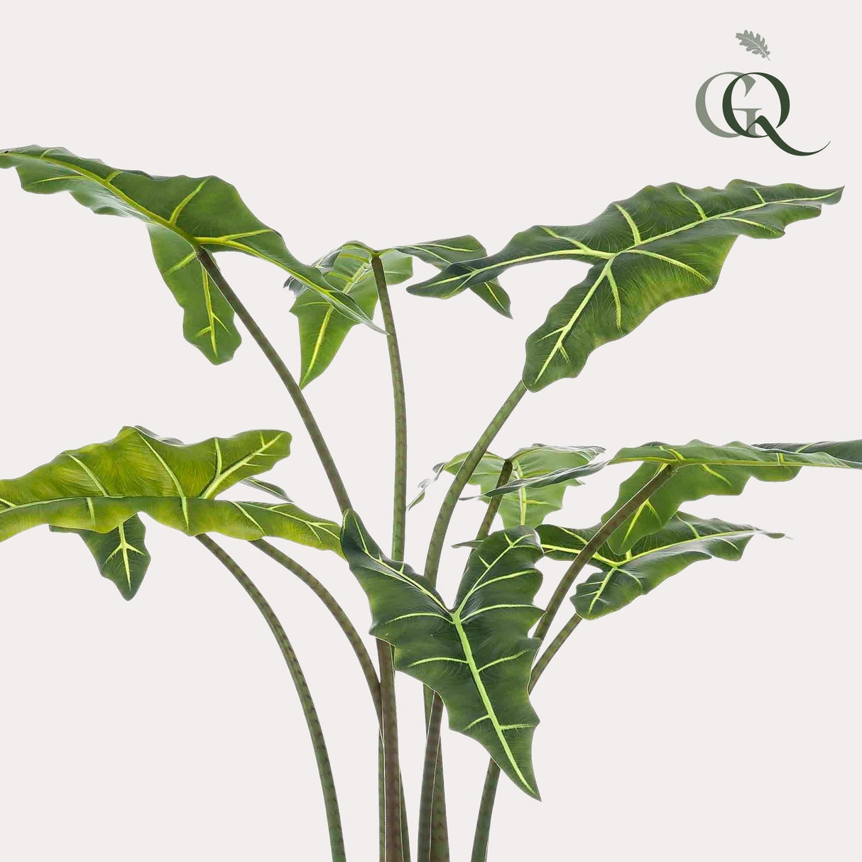 Livraison plante Alocasia plante artificielle - h100cm, Ø12cm