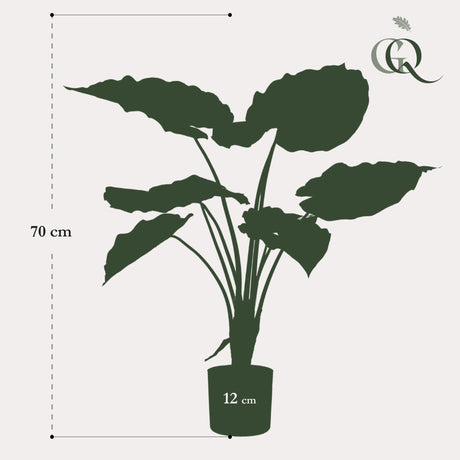 Livraison plante Alocasia plante artificielle - h70cm, Ø12cm