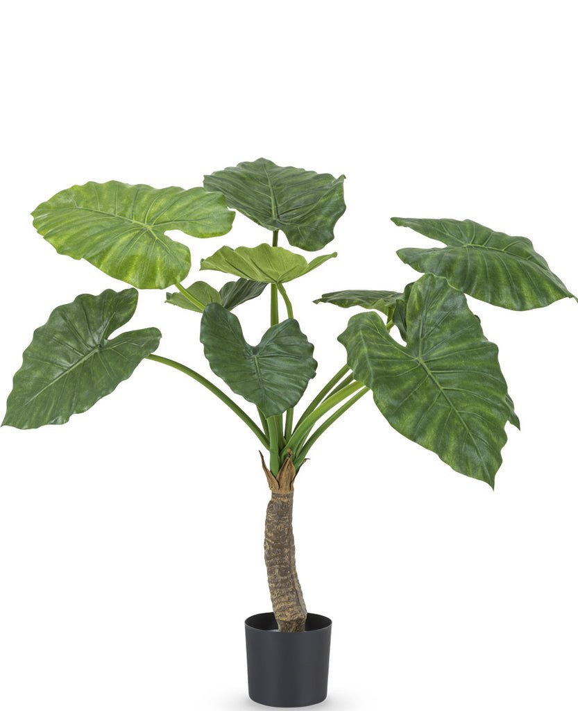 Livraison plante Alocasia - Plante verte artificielle