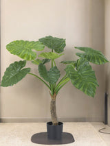 Livraison plante Alocasia - Plante verte artificielle