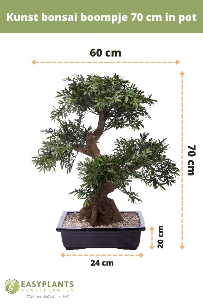 Livraison plante Bonsaï arbre - bonsai artificiel