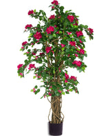 Livraison plante Bougainvillier Liane Fuschia - Arbre artificiel