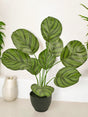 Livraison plante Calathea - Plante verte artificielle