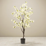 Livraison plante Cerisier artificiel blanc