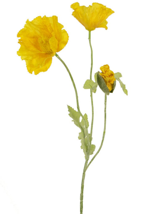 Livraison plante Coquelicot Artificiel Jaune