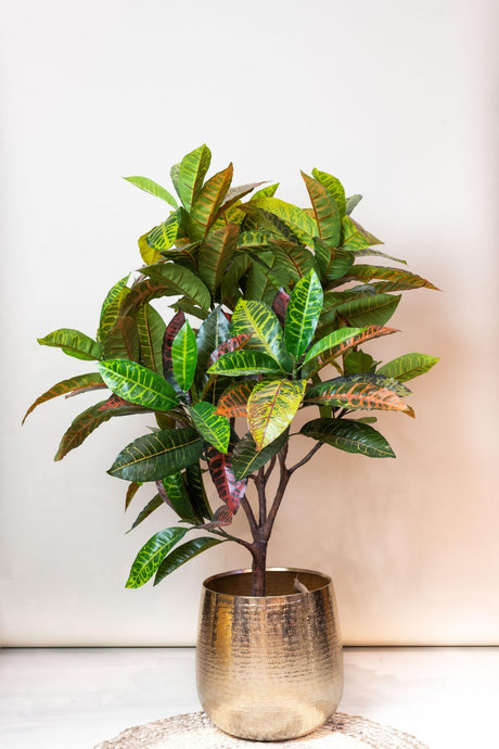 Livraison plante Croton Codiaeum plante artificielle - h120cm, Ø14cm