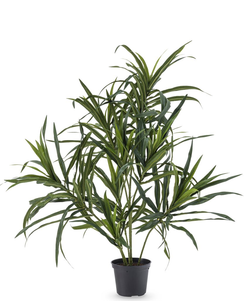 Livraison plante Dracaena Reflexa - Plante verte artificielle