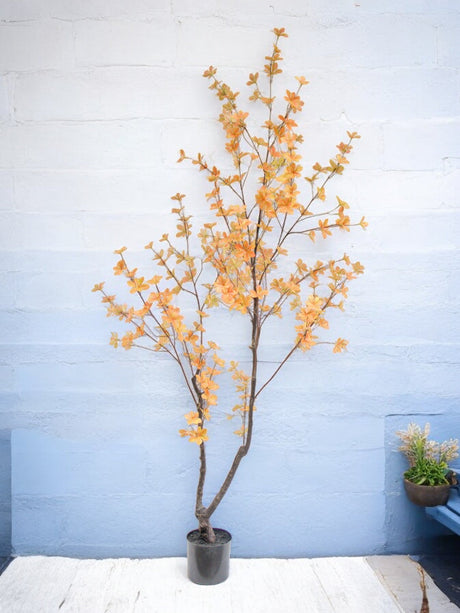 Livraison plante Enkianthus peche - Arbre artificiel