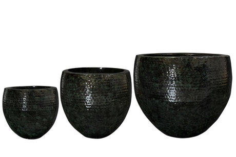 Livraison plante Ensemble de 3 pots - Thom noir métal - Largeur 54 cm