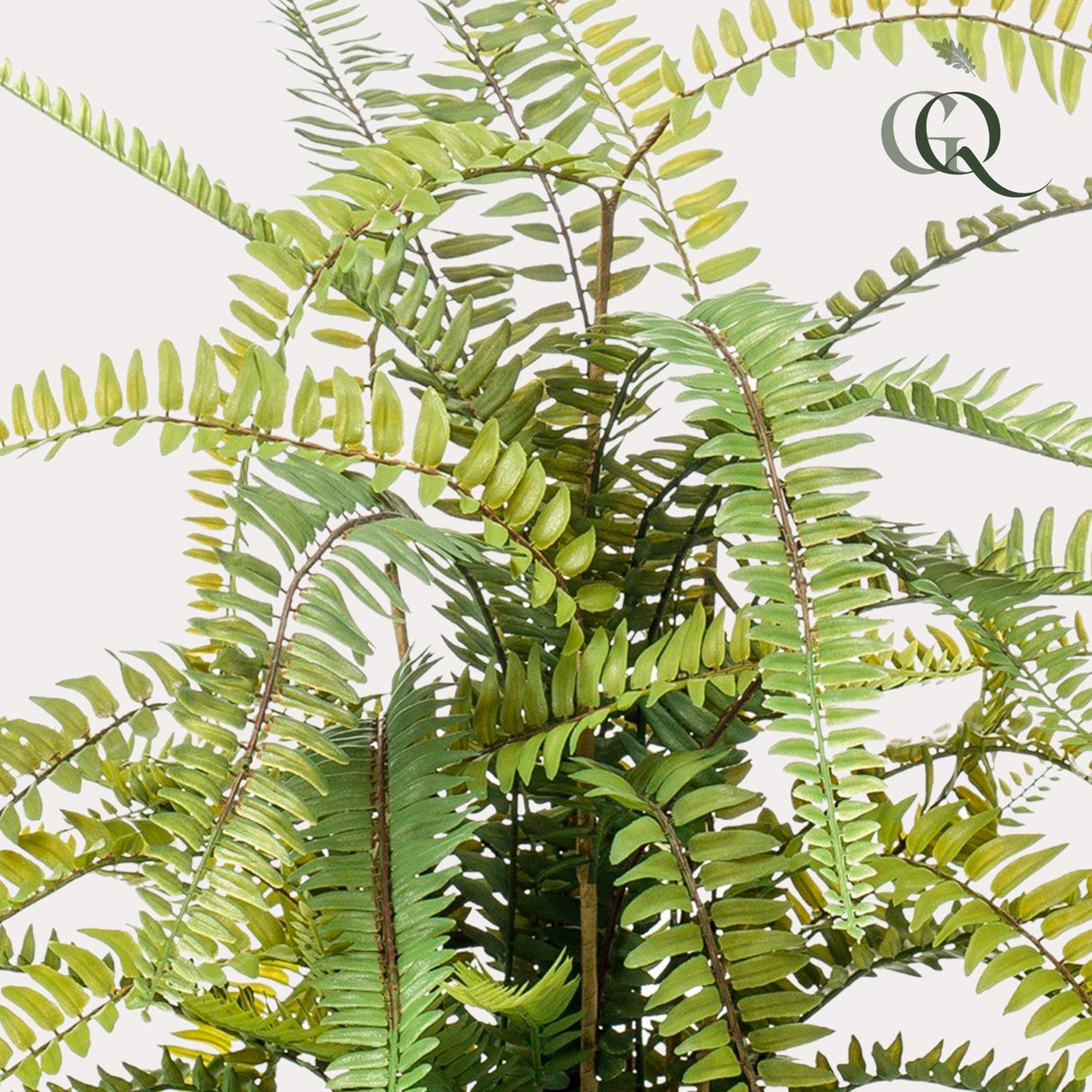 Livraison plante Fougère de Boston plante artificielle - h70cm, Ø15cm
