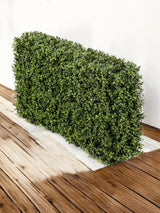 Livraison plante Haie 100x20x50 - Buis artificiel