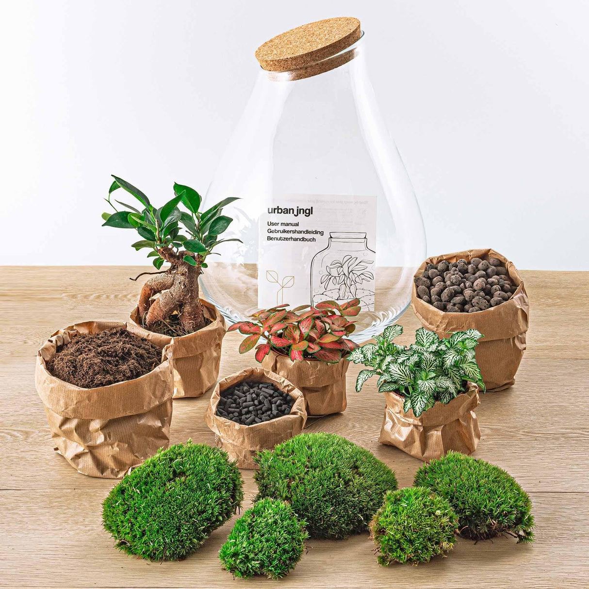 Livraison plante Kit Terrarium DIY - DOORN