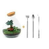 Livraison plante Kit Terrarium DIY - DOORN