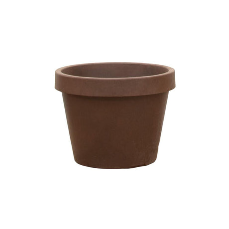 Livraison plante Lira Bronze 65 cm