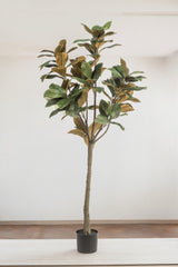 Livraison plante Magnolia Grandiflora plante artificielle - h150cm, Ø15cm