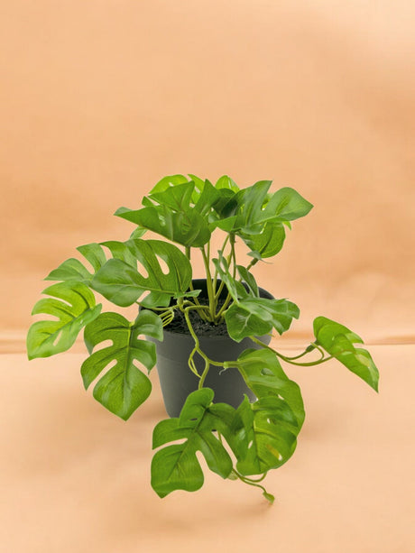 Livraison plante Monstera - Plante verte artificielle