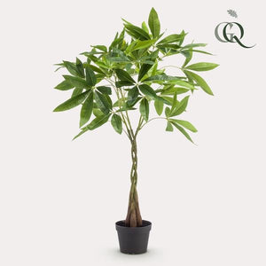 Livraison plante Pachira aquatica artificiel