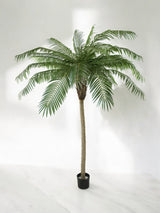 Livraison plante Palmier Phoenix De Luxe - Arbre artificiel