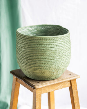 Cesto verde