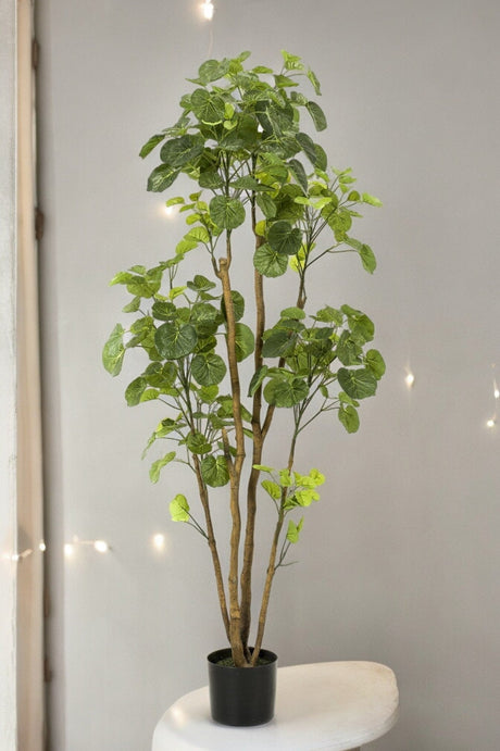 Livraison plante Polyscias Aralia plante artificielle - h160cm, Ø14cm
