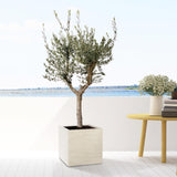 Livraison plante Pot Block Beige 50cm