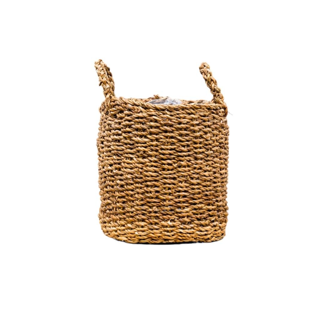 Livraison plante Pot Jack - Riet 38x36 cm