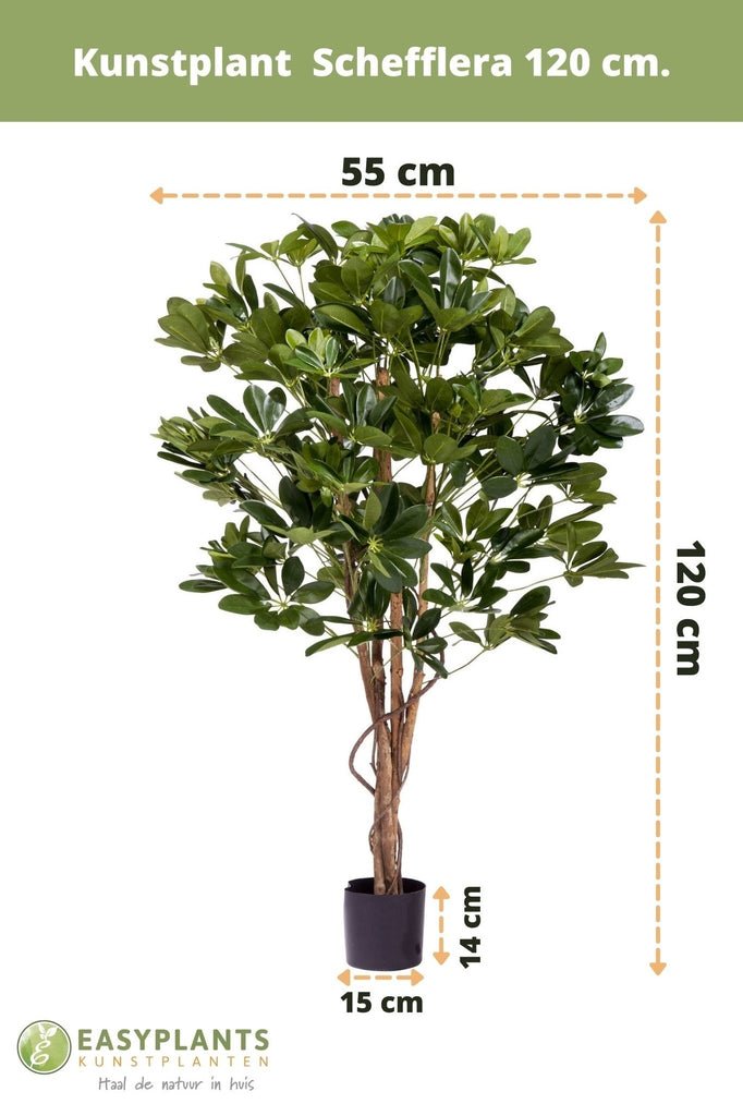 Livraison plante Schefflera - Arbre artificiel