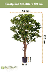 Livraison plante Schefflera - Arbre artificiel