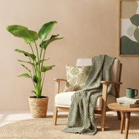 Strelitzia nicolai e paniere
