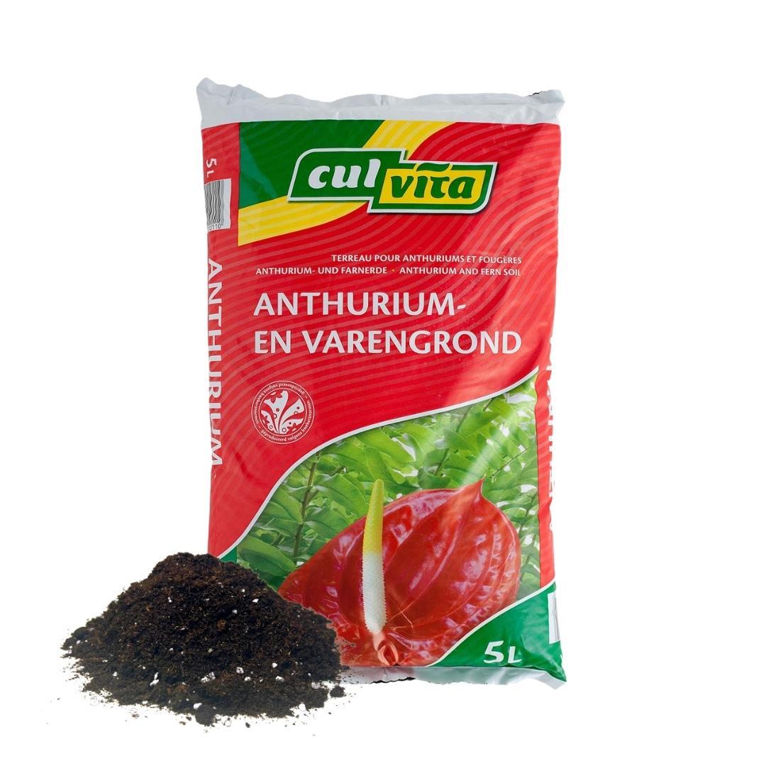 Livraison plante Terreau pour Anthuriums et fougères - 5L