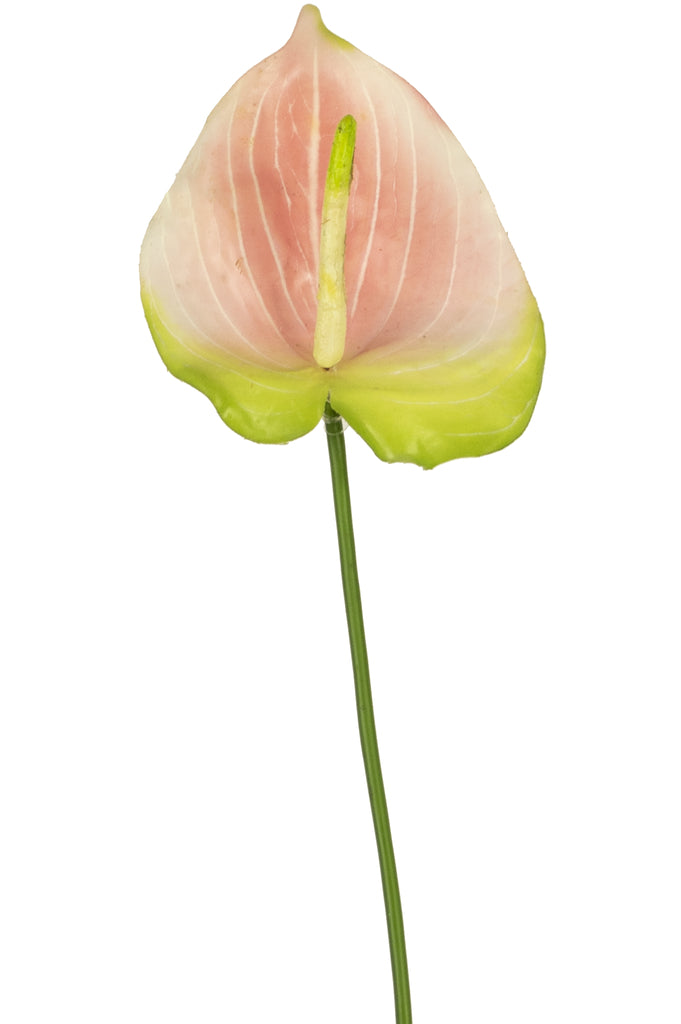 Anthurium rosa artificiale