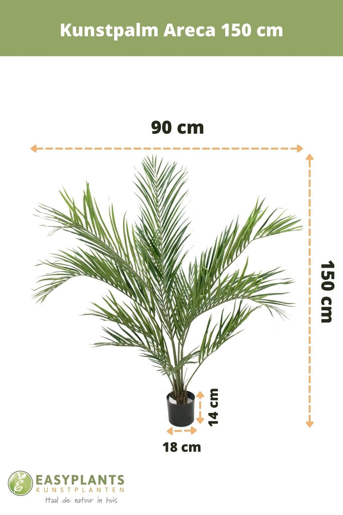 Areca - Palma artificiale