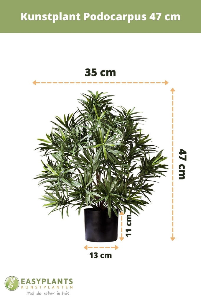 Podocarpus - Pianta verde artificiale