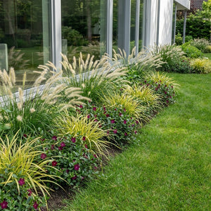 Pack Balcon Soleil & Mi-Ombre Blanc & Violet - 18 plantes — photo 2