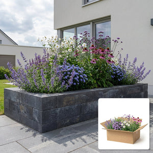 Pack jardin - composition prête à planter