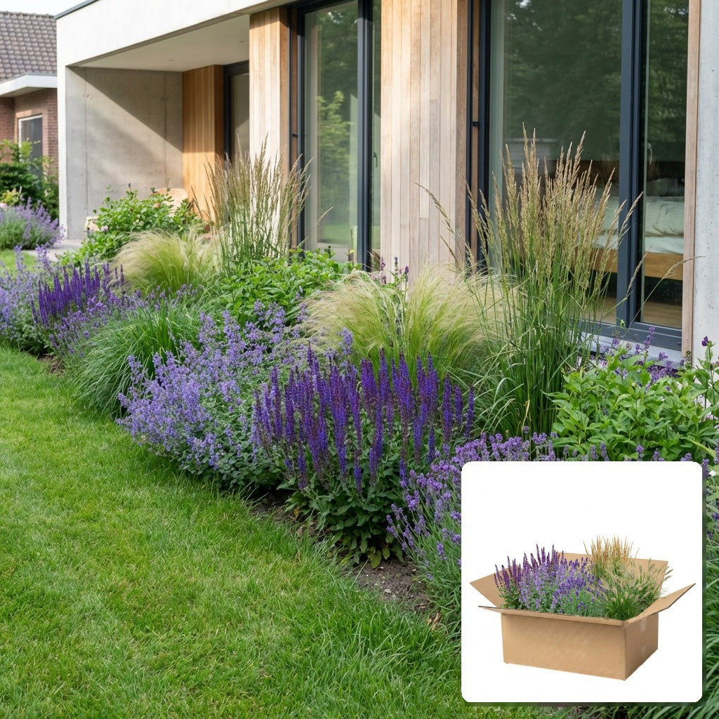 Pack jardin - composition prête à planter