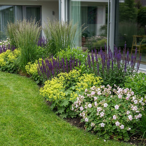 Pack Massif Soleil & Mi-Ombre Rose & Blanc (Géranium Vivace) - 30 plantes — photo 2