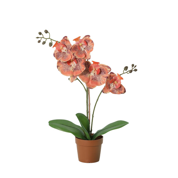 Orchidée Phalaenopsis orange plante artificielle