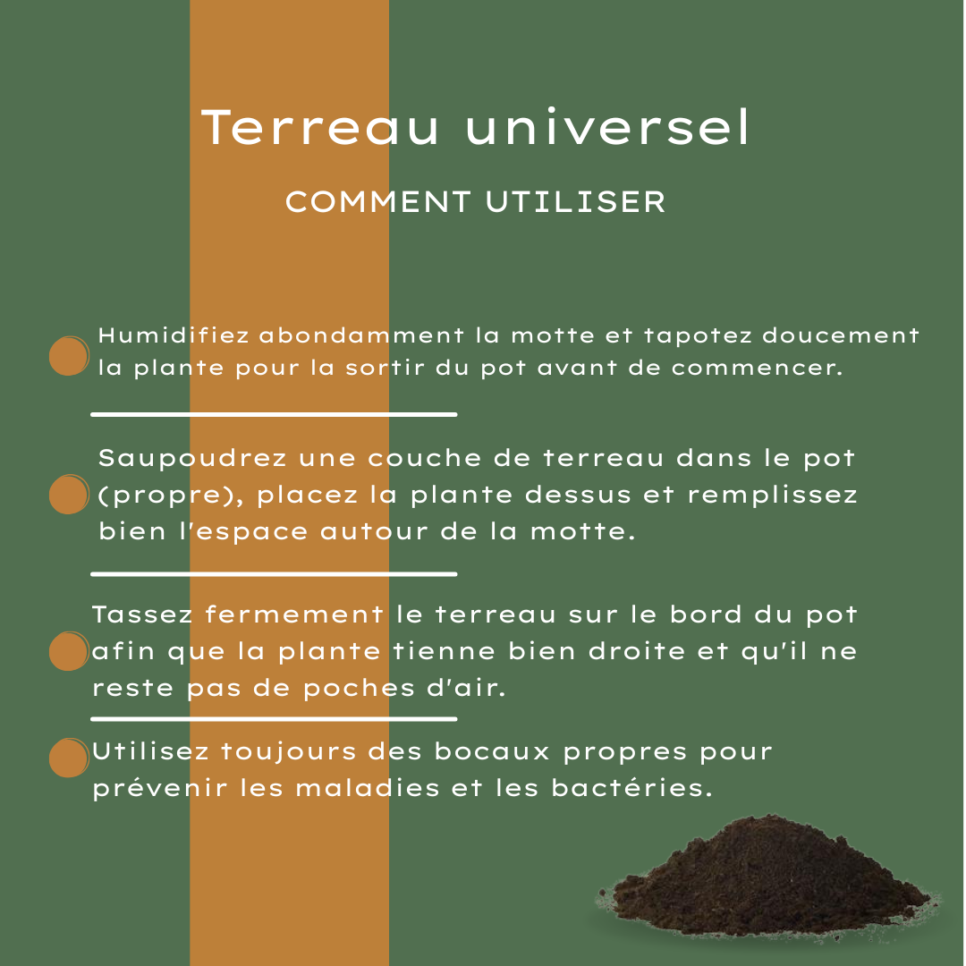 Terriccio Universale 30 Litri Compra – Per Piante da Interno e Esterno