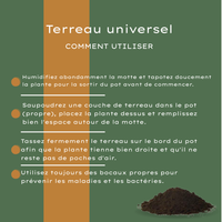 Terriccio Universale 30 Litri Compra – Per Piante da Interno e Esterno