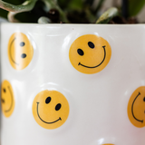 Set orchidée Albenga jaune et succulente - cache-pots Smiley - H 35 cm, pot Ø9 cm