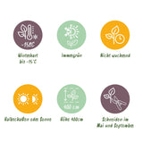 Green boutiQ - Haagplanten - Ligustrum ovalifolium -  blad groen - 6 planten - 1 strekkende meter - groenblijvend - pot 17cm hoogte 55cm