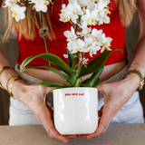 Coffret Love You - orchidée Congo rouge et plante verte en cache-pots