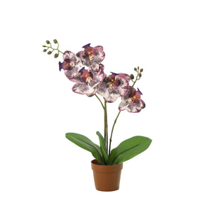 Orchidée Phalaenopsis violet plante artificielle