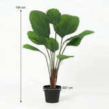 Licuala Grandis Palmier plante artificielle